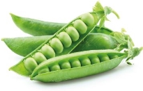 Горох Сомервуд семена купить Syngenta, цена в интернет-магазине  Супермаркете Семян